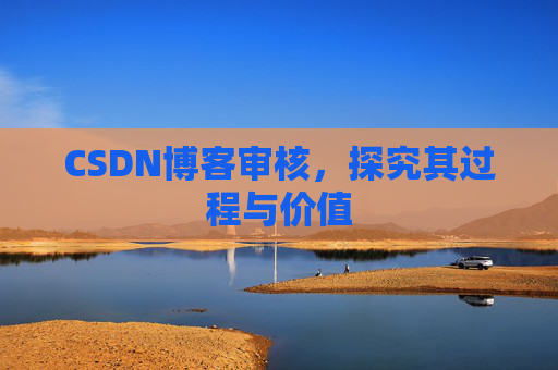 CSDN博客审核，探究其过程与价值